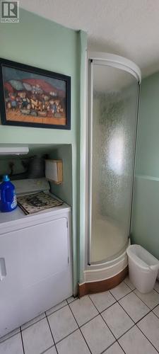 282 Main Street, Lewin'S Cove, NL - Indoor Photo Showing Bathroom