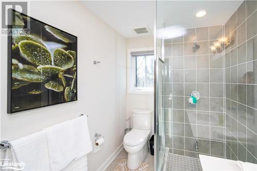 2nd floor bathroom - 1020 Ridgeline Drive, Lake Of Bays (Twp), ON - Indoor Photo Showing Bathroom