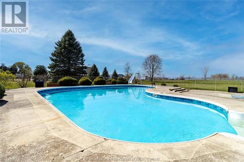 23356 Dew Drop Road, Thamesville, ON - Outdoor With In Ground Pool With Backyard
