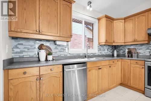 2891 Meadowgate Blvd, London, ON - Indoor Photo Showing Kitchen