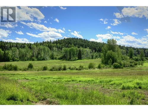 4626 Teasdale Road, Horsefly, BC - Outdoor With View