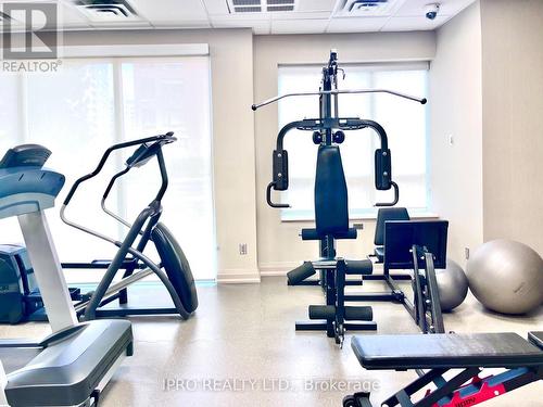 1016 - 9 Northern Heights Drive, Richmond Hill, ON - Indoor Photo Showing Gym Room
