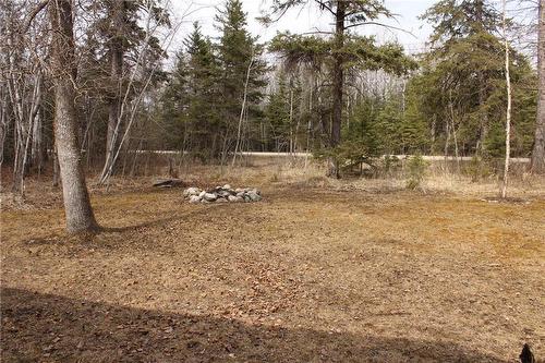 108 Old Arnes Place, Silver Harbour, MB - Outdoor With View