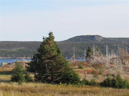 210-220 Point Road, Chapel'S Cove, NL 