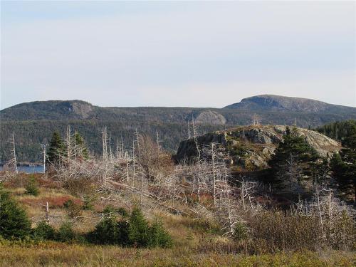 210-220 Point Road, Chapel'S Cove, NL 