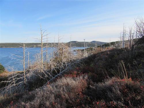 210-220 Point Road, Chapel'S Cove, NL 