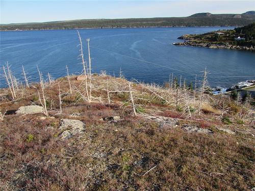 210-220 Point Road, Chapel'S Cove, NL 