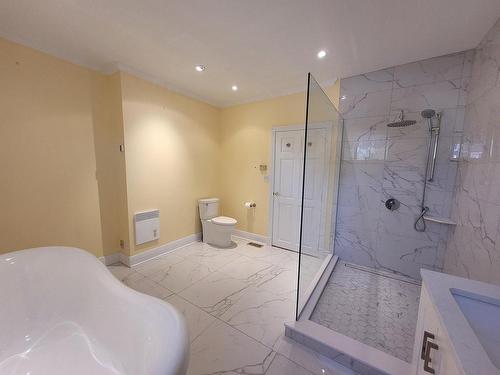 Bathroom - 662 Rue Principale, Lachute, QC - Indoor Photo Showing Bathroom