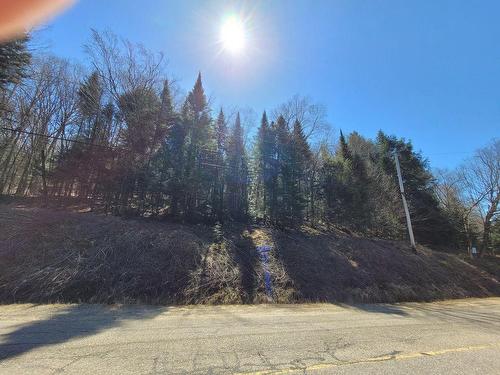 Terre/Terrain - Ch. Du Lac-Labelle, Labelle, QC 