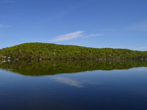 Vue d'ensemble - Ch. Du Lac-Labelle, Labelle, QC 