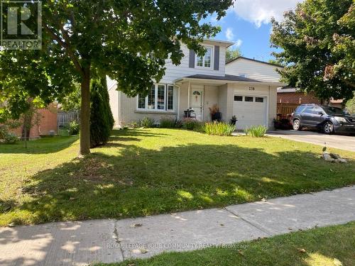 238 William Roe Blvd, Newmarket, ON - Outdoor