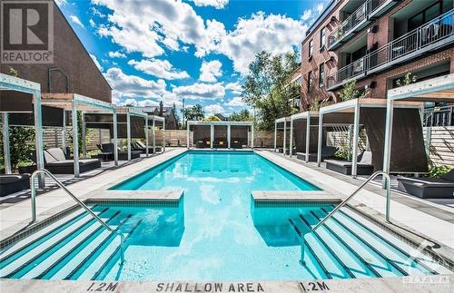 340 Mcleod Street Unit#534, Ottawa, ON - Outdoor With In Ground Pool