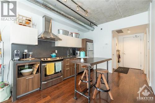 340 Mcleod Street Unit#534, Ottawa, ON - Indoor Photo Showing Kitchen With Upgraded Kitchen