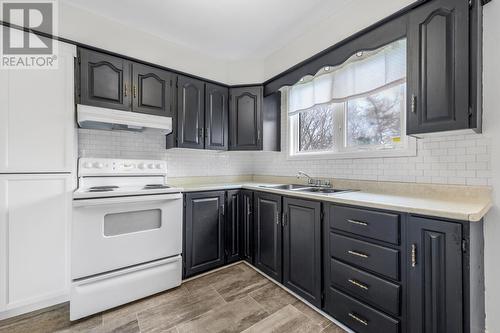 10 East Meadows Crescent, St. John'S, NL - Indoor Photo Showing Kitchen With Double Sink
