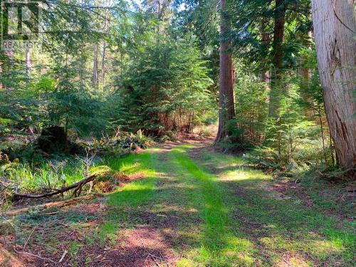 1132/34 Herchmer Road, Savary Island, BC - Outdoor