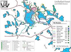 Limberlost Forest Reserve Trail Map - 