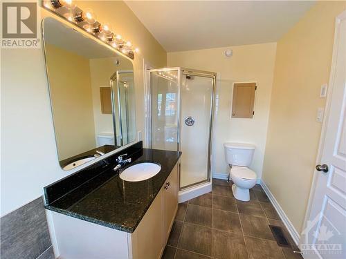 En-suite - 196 Jersey Tea Circle, Ottawa, ON - Indoor Photo Showing Bathroom