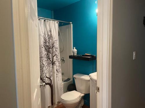 1231 2Nd Avenue, Fernie, BC - Indoor Photo Showing Bathroom