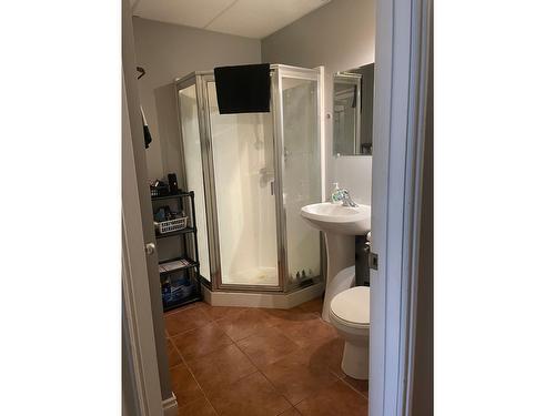 1231 2Nd Avenue, Fernie, BC - Indoor Photo Showing Bathroom