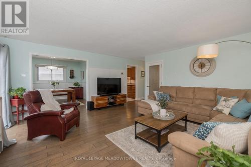 119 Ontario St, Halton Hills, ON - Indoor Photo Showing Living Room