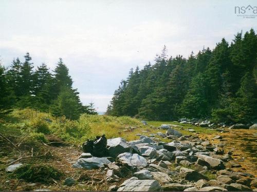 Hartlings Island, Ecum Secum, NS 