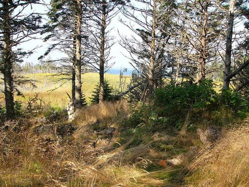 Hartlings Island, Ecum Secum, NS 