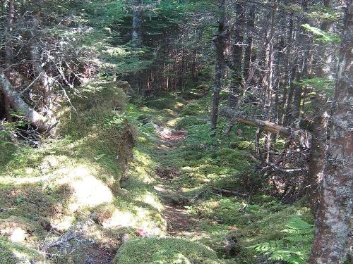 Hartlings Island, Ecum Secum, NS 