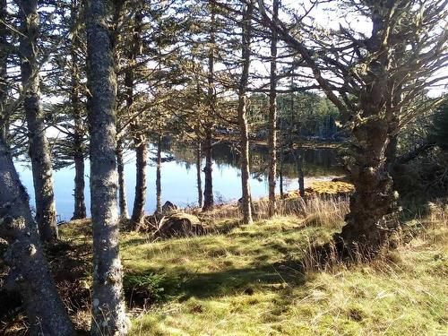 Hartlings Island, Ecum Secum, NS 