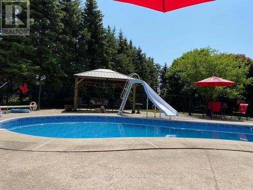 90 Samuel Lount Rd, East Gwillimbury, ON - Outdoor With In Ground Pool With Backyard