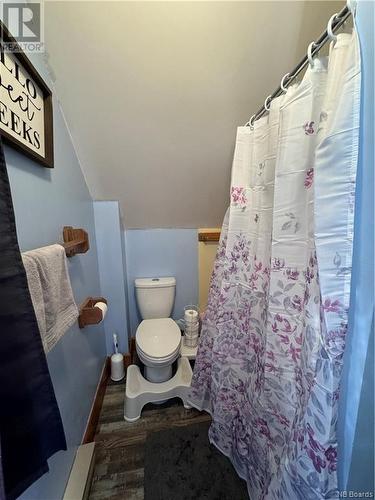 7 Terrace Street, Perth-Andover, NB - Indoor Photo Showing Bathroom