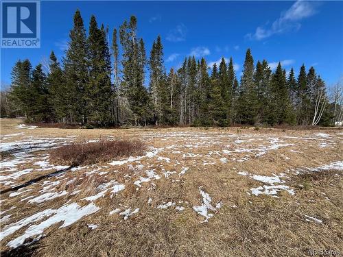 9054 17 Route, Whites Brook, NB - Outdoor With View