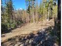 Proposed - Lot 92 Montane Parkway, Fernie, BC 