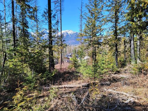 Proposed - Lot 92 Montane Parkway, Fernie, BC 