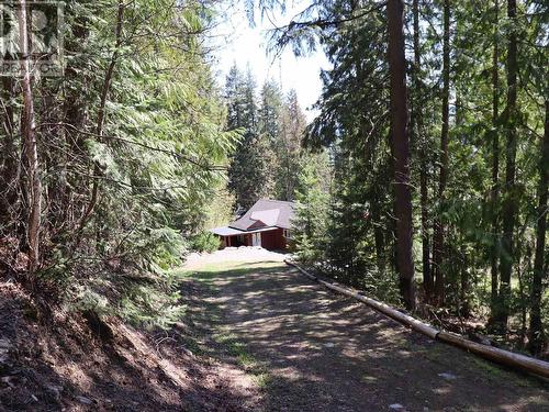 7673 Queest Road, Anglemont, BC - Outdoor With View