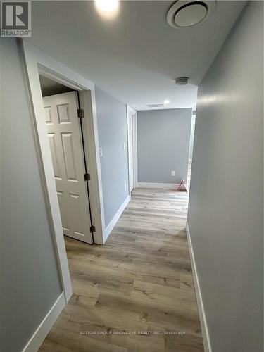 Lower - 142 Crafter Crescent, Hamilton, ON - Indoor Photo Showing Other Room
