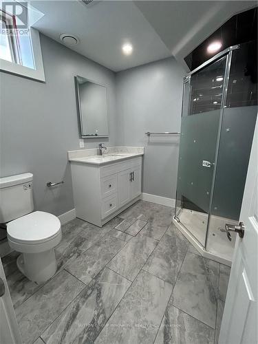 Lower - 142 Crafter Crescent, Hamilton, ON - Indoor Photo Showing Bathroom