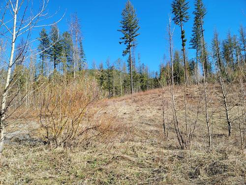 Proposed - Lot 90 Montane Parkway, Fernie, BC 