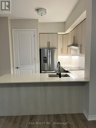 #102 -121 Highway 8, Hamilton, ON - Indoor Photo Showing Kitchen With Upgraded Kitchen