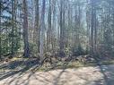 Lot 20 Beech, Parkdale, NS 