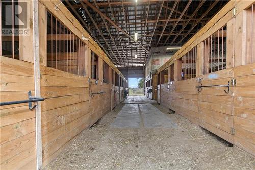 Indoor arena/barn with 15 box stalls - 1461 Goshen Road, Renfrew, ON 
