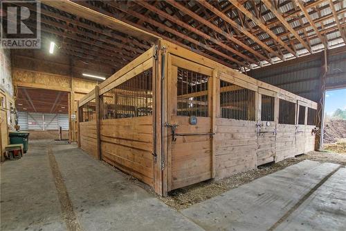 Indoor arena/barn with 15 box stalls - 1461 Goshen Road, Renfrew, ON 