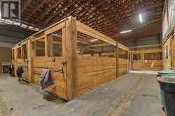 Indoor arena/barn with 15 box stalls - 