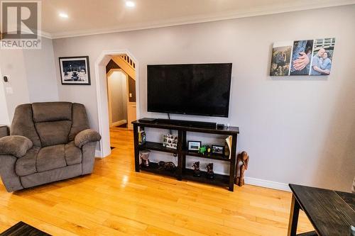 53 Wights Road, Deer Lake, NL - Indoor Photo Showing Living Room