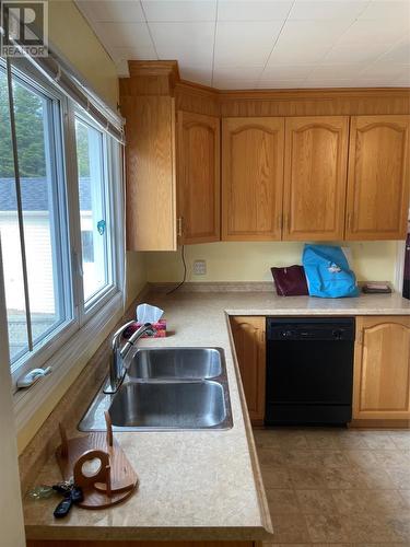 719 Bauline Line Extension, Portugal Cove - St. Phillips, NL - Indoor Photo Showing Kitchen With Double Sink