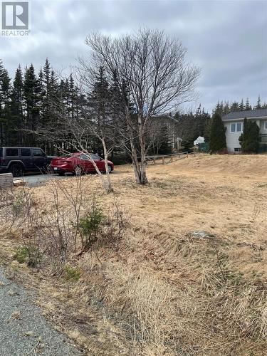 719 Bauline Line Extension, Portugal Cove - St. Phillips, NL - Outdoor