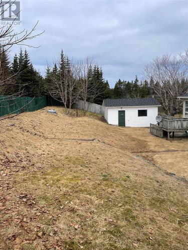 719 Bauline Line Extension, Portugal Cove - St. Phillips, NL - Outdoor