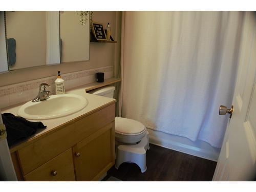 4584 Purcell Drive, Fairmont Hot Springs, BC - Indoor Photo Showing Bathroom