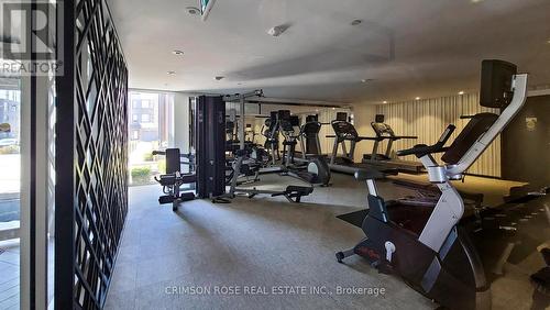106 - 168 Sabina Drive, Oakville, ON - Indoor Photo Showing Gym Room