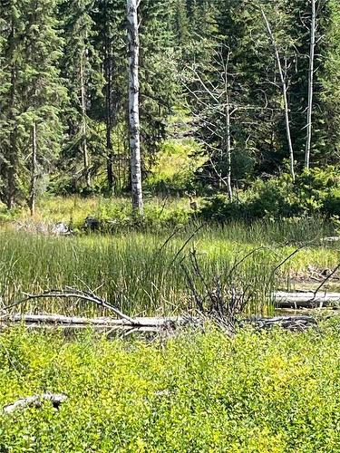 Nw Moser Road, Falkland, BC 