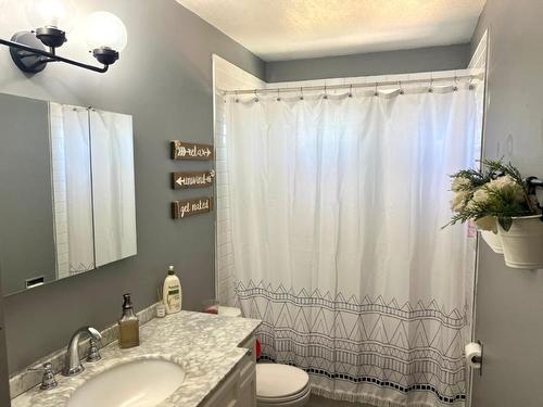 482 Palmer Street, Princeton, BC - Indoor Photo Showing Bathroom